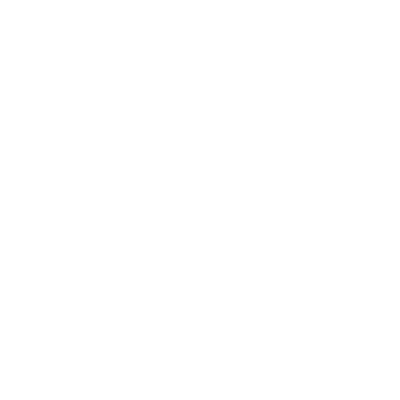 Data Lineage