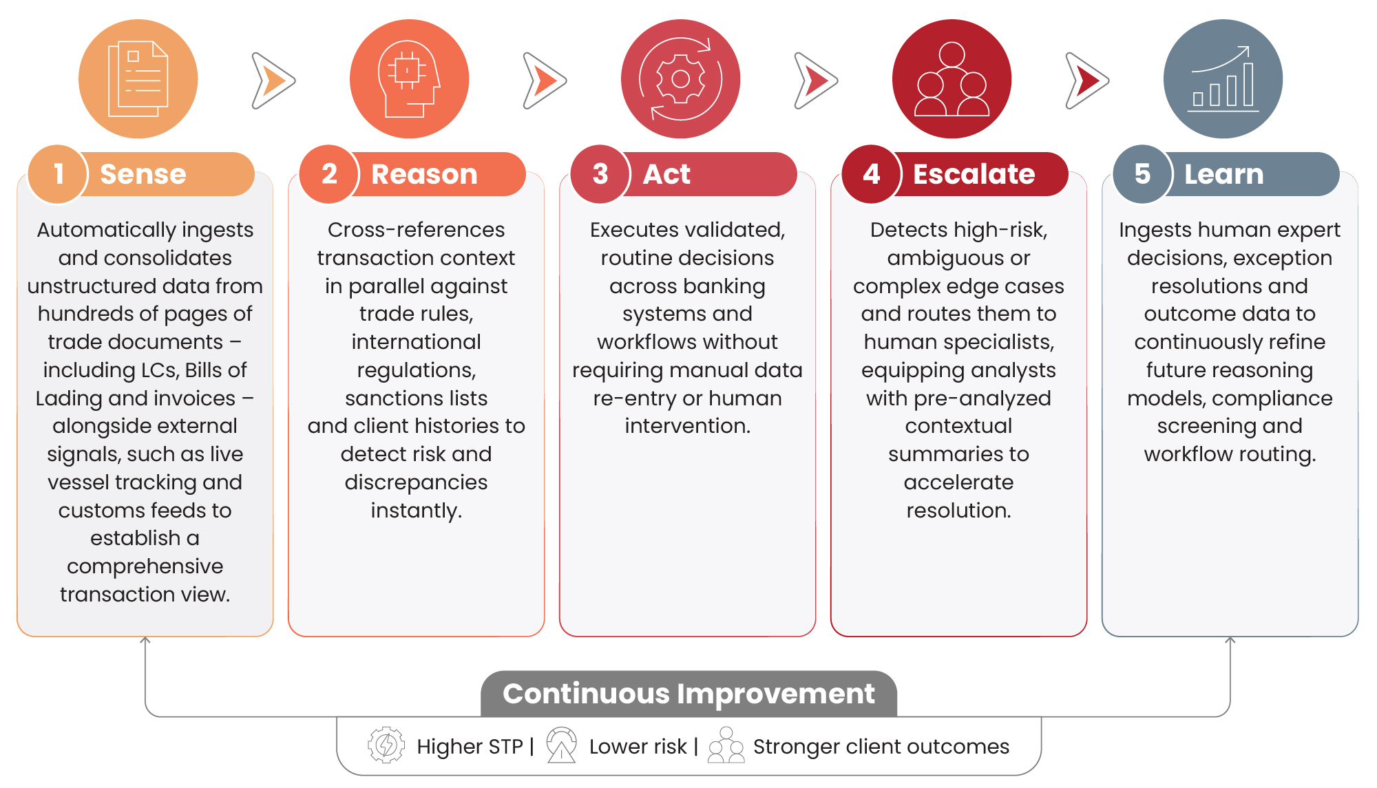 Infographic-02