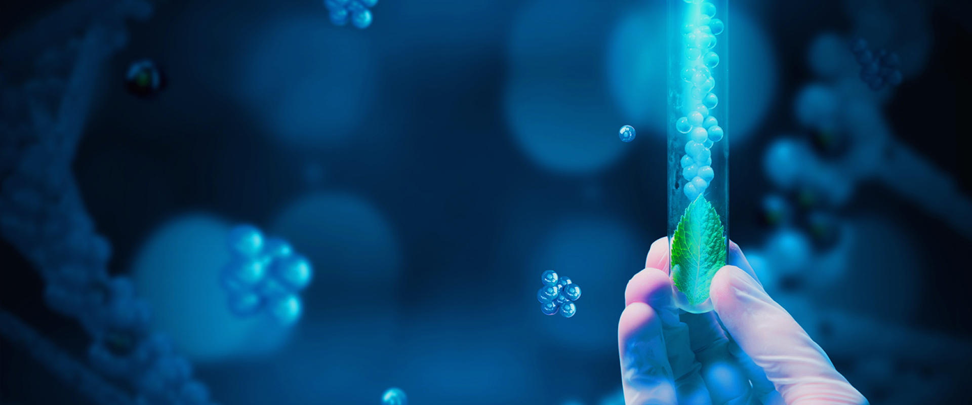 Healthcare Megatrends 2024