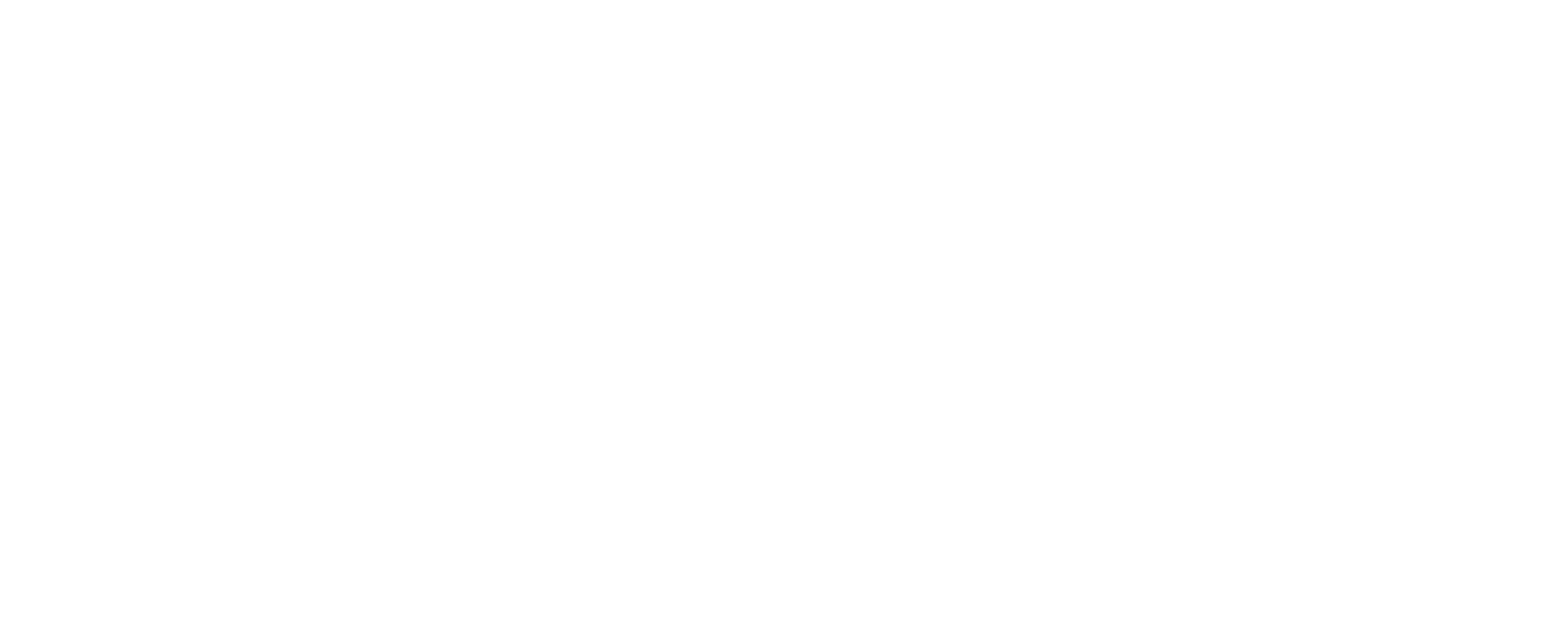 Appian Logo