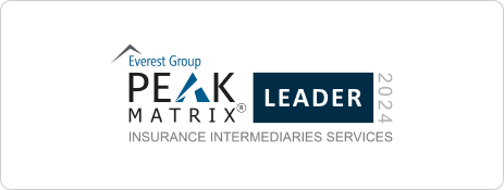 Everest Group PEAK MATRIX Leader 2024