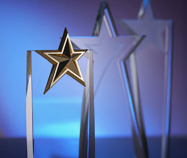 Winner of the Appian APJ Partner Impact & Excellence in Delivery 2024 